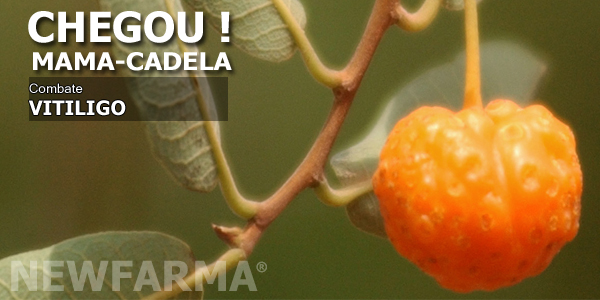 MAMA-CADELA , ALIADO CONTRA O VITILIGO. 